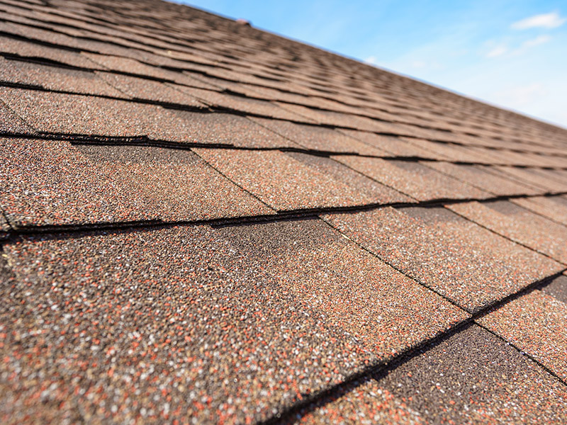 Roof inspection documenting condition of aging roof